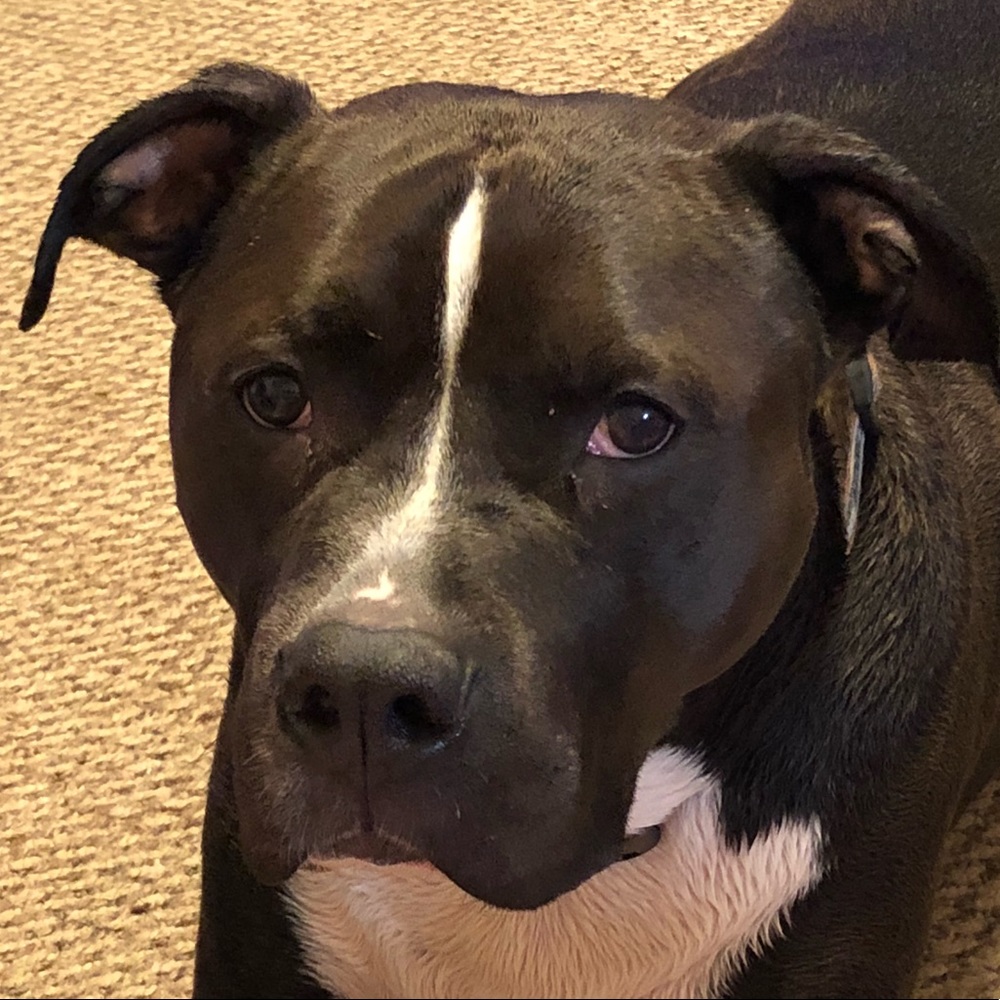 Meet your Posher, Shawna